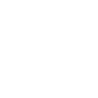 REST Countries logo