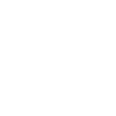Review Scraper logo