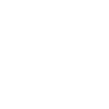 Schogini AI Wizard logo