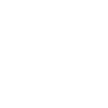 Schogini Image Wizard logo