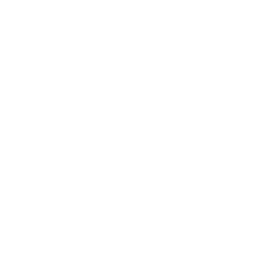 Scopi logo
