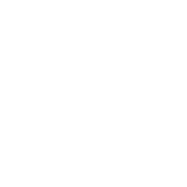 Service Provider Pro logo