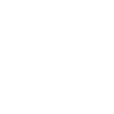 SetSmart logo