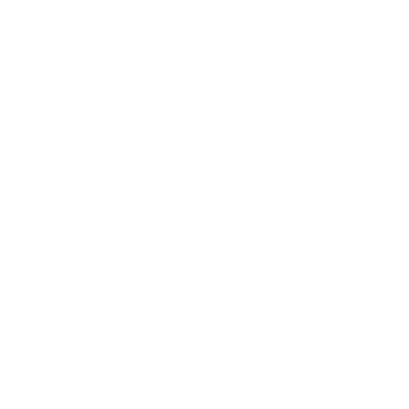 Shipedge logo