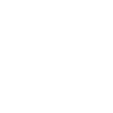 Simpleen Translation logo