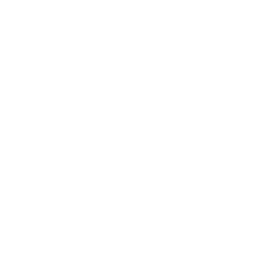 Simplified Webhooks logo