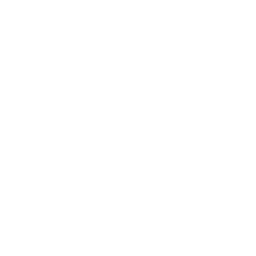 019 sms logo