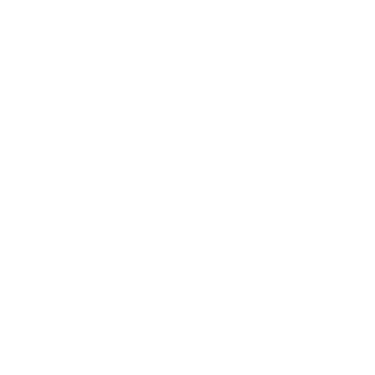 SMS Partner logo