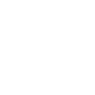 StealthGPT logo
