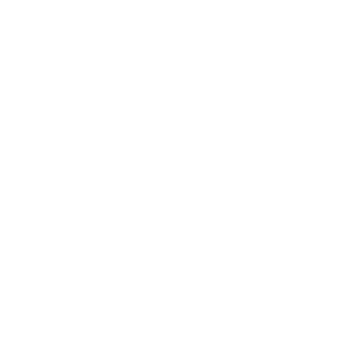 Streamtime logo