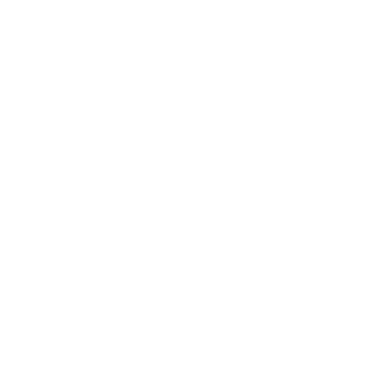 Tally Add-ons logo