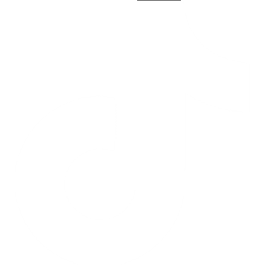 TikTok Campaign Management logo