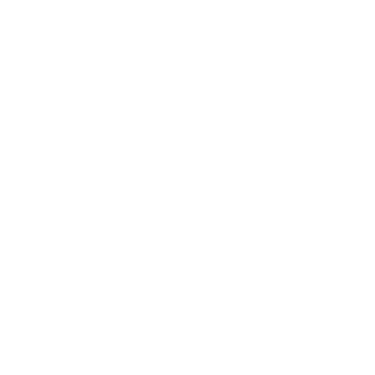 TimelinesAI for WhatsApp logo