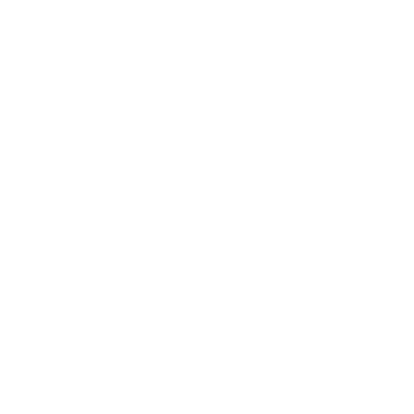 Visma eAccounting logo
