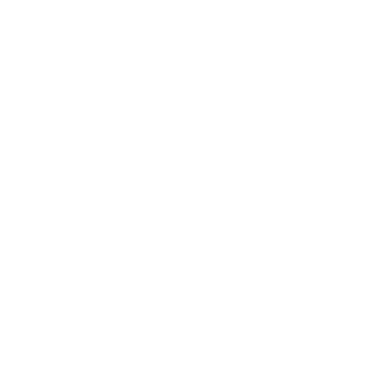 Voice Partner logo