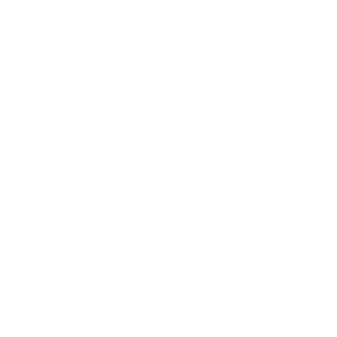 Voicenter logo