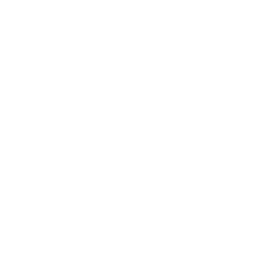 Whapi.Cloud logo