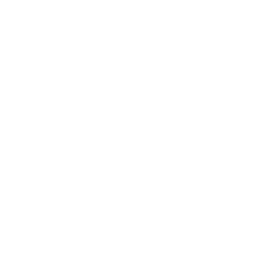 WiseOCR for Invoice/Receipt logo