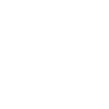 WiserNotify logo