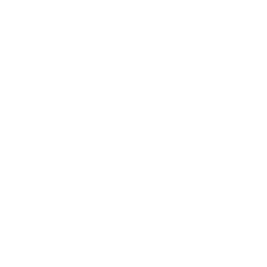 Wisewand by Sequance logo