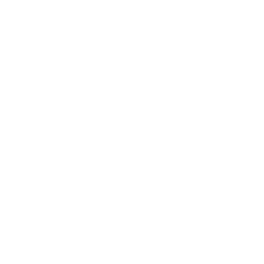 Wizishop logo