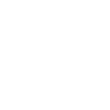 WizyChat logo