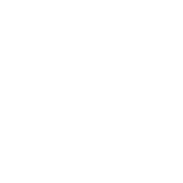 WordPress logo