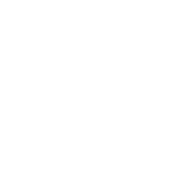 WS Form logo
