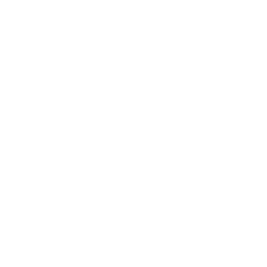 XLSX (Excel files) logo