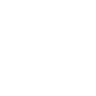 Zenler logo