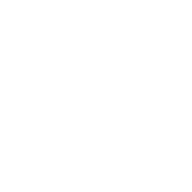 Zigpoll logo