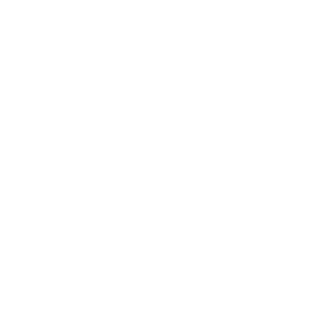 ZoomInfo logo