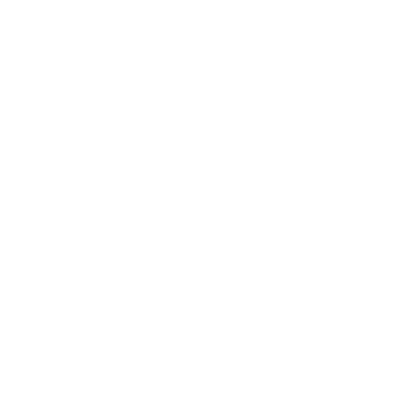 Zulip logo