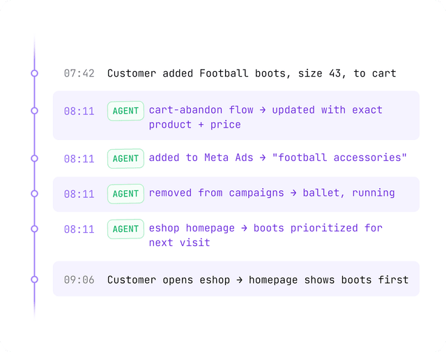Personalized customer journey across email, ads, and eshop