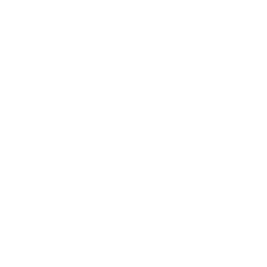 adsfox logo