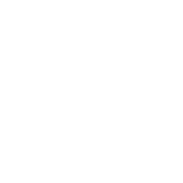 AlphaInsider logo