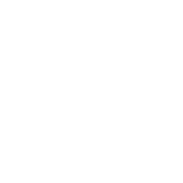 Anysite Web Data logo