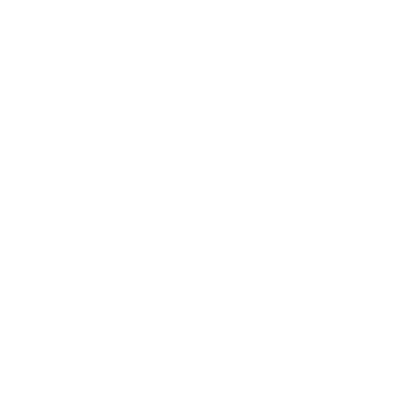 Botit WhatsApp QR API logo