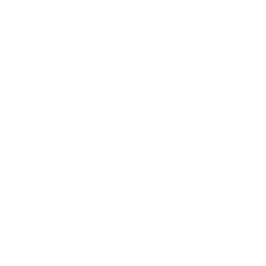Chatmax logo