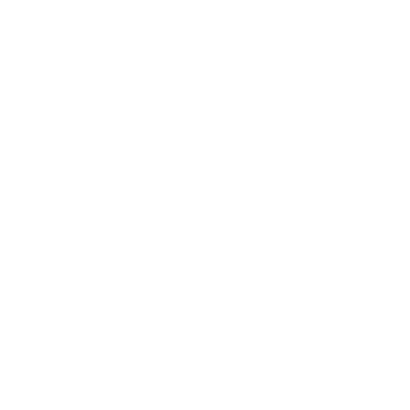 Custom JS logo