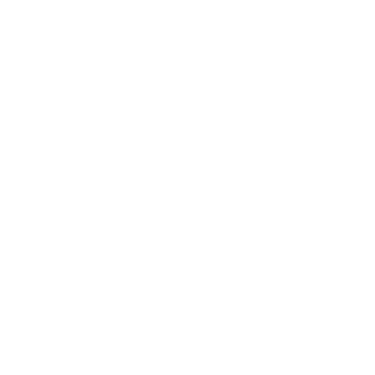 Deep-Image.ai logo