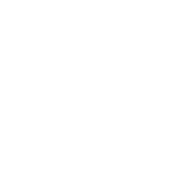 DigiSign logo