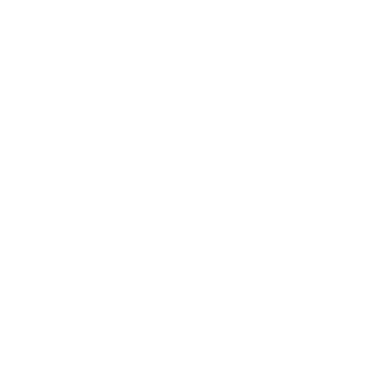 Expanzo logo