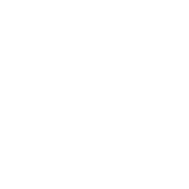 Fidoo logo