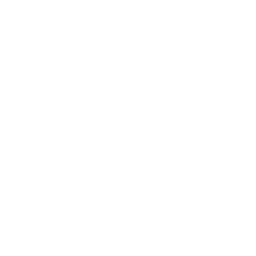 Fiweex logo