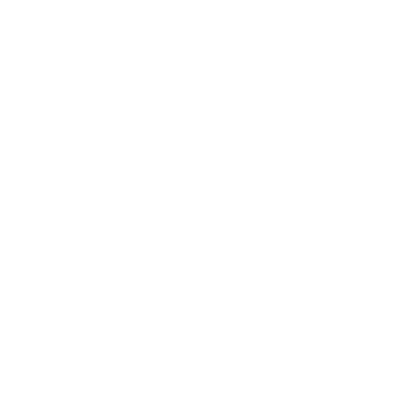 Focus Anchor logo