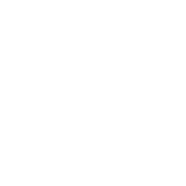 Google Ads Lead Forms logo