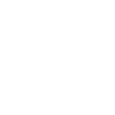 Idiligo logo