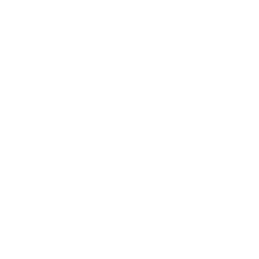 Invoice Ninja logo
