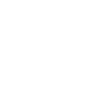 SalesWizard CRM logo